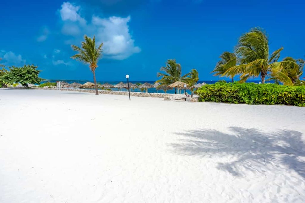 Een leeg wit zandstrand met palmbomen en rieten parasols in de verte werpt lange schaduwen bij een resort in Jamaica
