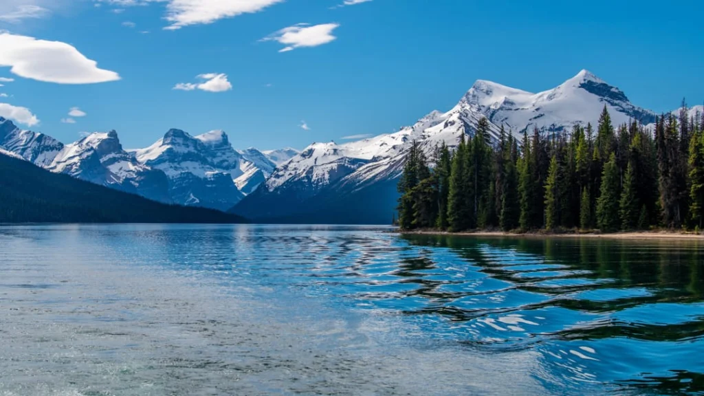 Turquoise water van Maligne Lake in Jasper National Park met dennenbos en besneeuwde bergtoppen onder een blauwe lucht