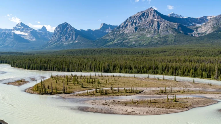 Een brede, vlechtende rivier stroomt door een vallei met dennenbos, omringd door hoge rotsachtige bergtoppen in Jasper National Park