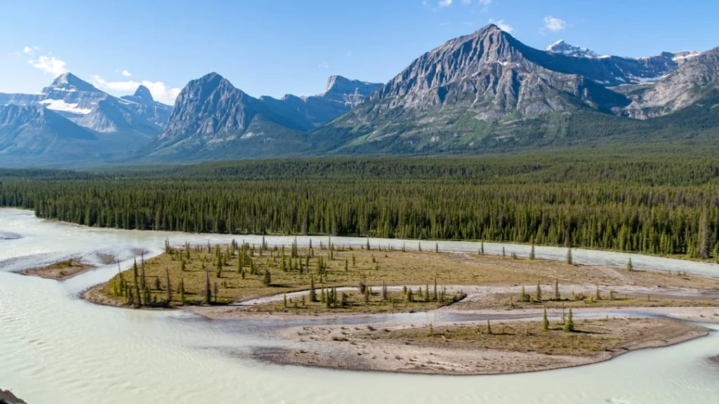 Een kronkelende rivier met zandbanken stroomt door een dennenbos, met op de achtergrond de ruige bergketens van Jasper National Park in West-Canada