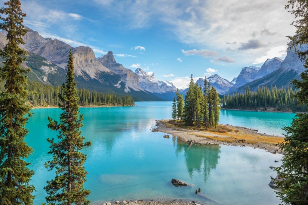 Klein eilandje met dennenbomen in het turquoise water van Maligne Lake, omringd door hoge bergtoppen en dicht naaldbos