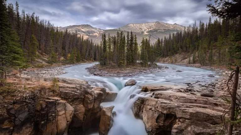 Een rivier splitst zich rond een klein eilandje en stort zich als waterval tussen rotsen naar beneden, met bergen op de achtergrond in Jasper National Park