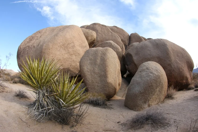 Grote afgeronde granietrotsen gestapeld op elkaar met een stekelige yucca plant op de voorgrond in Joshua Tree National Park