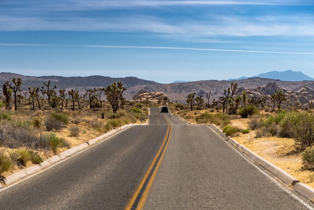 Rechte asfaltweg door de woestijn omzoomd door kenmerkende joshuabomen en rotsformaties in Joshua Tree National Park