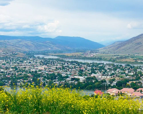 Panorama over de stad Kamloops met huizen tussen groen en een rivier die door de vallei stroomt, met droge heuvels op de achtergrond en gele bloemen op de voorgrond