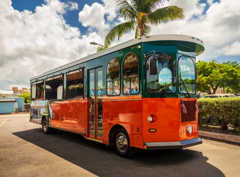 Een groen met oranje trolleybus van Old Town Trolley staat geparkeerd onder een palmboom in Key West