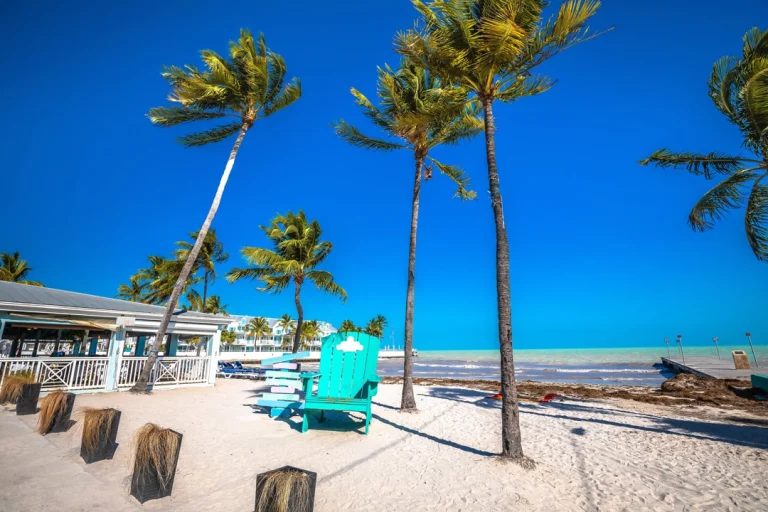 Een turquoise houten strandstoel staat in het witte zand tussen hoge palmbomen aan het strand van Key West