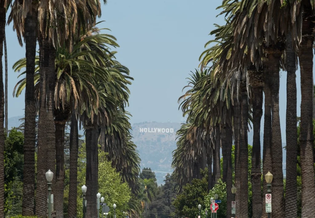 Rij hoge palmbomen langs een straat met aan het einde in de verte het witte Hollywood bord op de heuvels