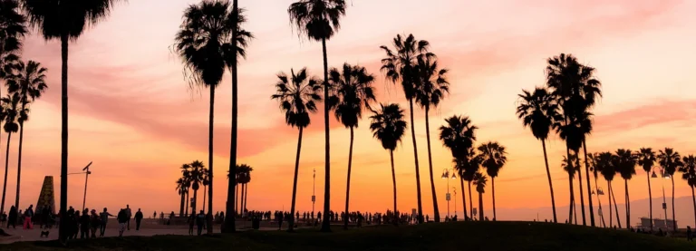 Rij hoge palmbomen in silhouet tegen een roze en oranje avondlucht met wandelaars op het strand van Venice Beach