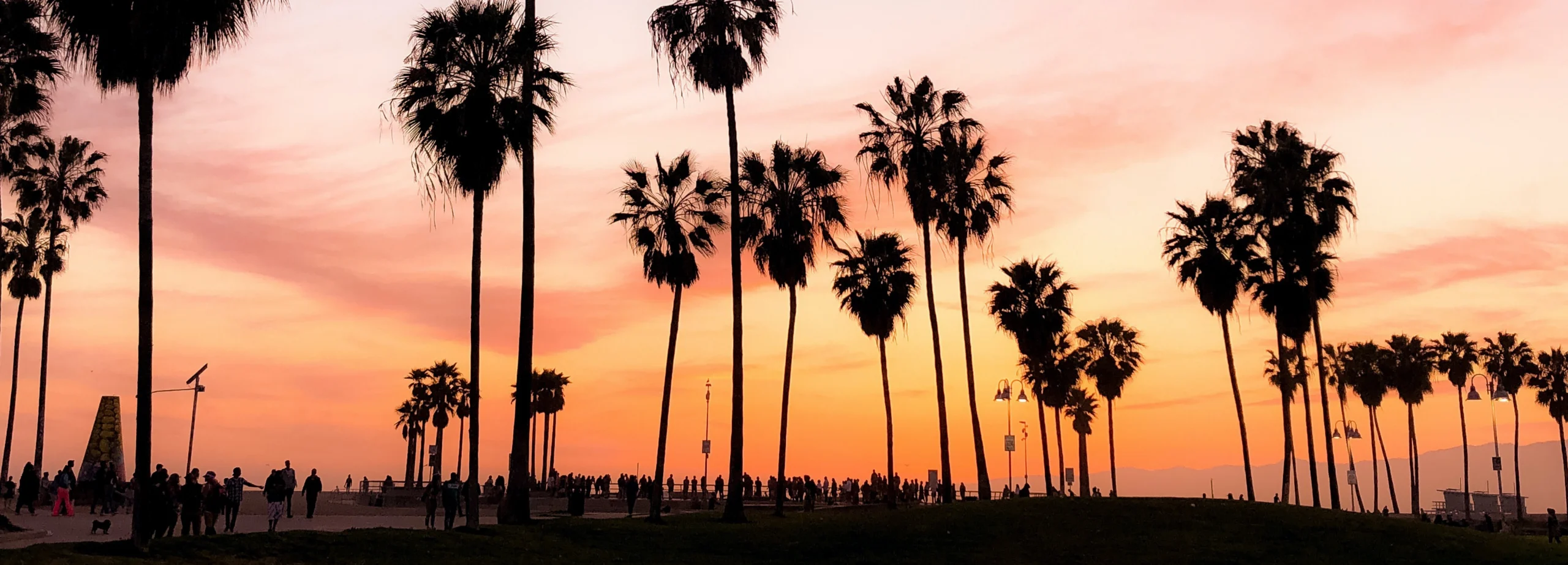 Rij hoge palmbomen in silhouet tegen een roze en oranje avondlucht met wandelaars op het strand van Venice Beach