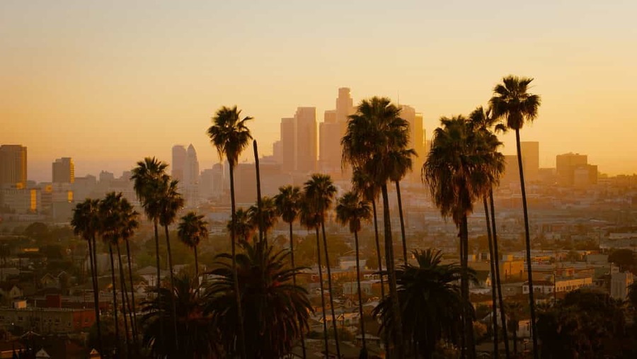 Silhouet van hoge palmbomen met op de achtergrond de wolkenkrabbers van downtown Los Angeles in warm avondlicht