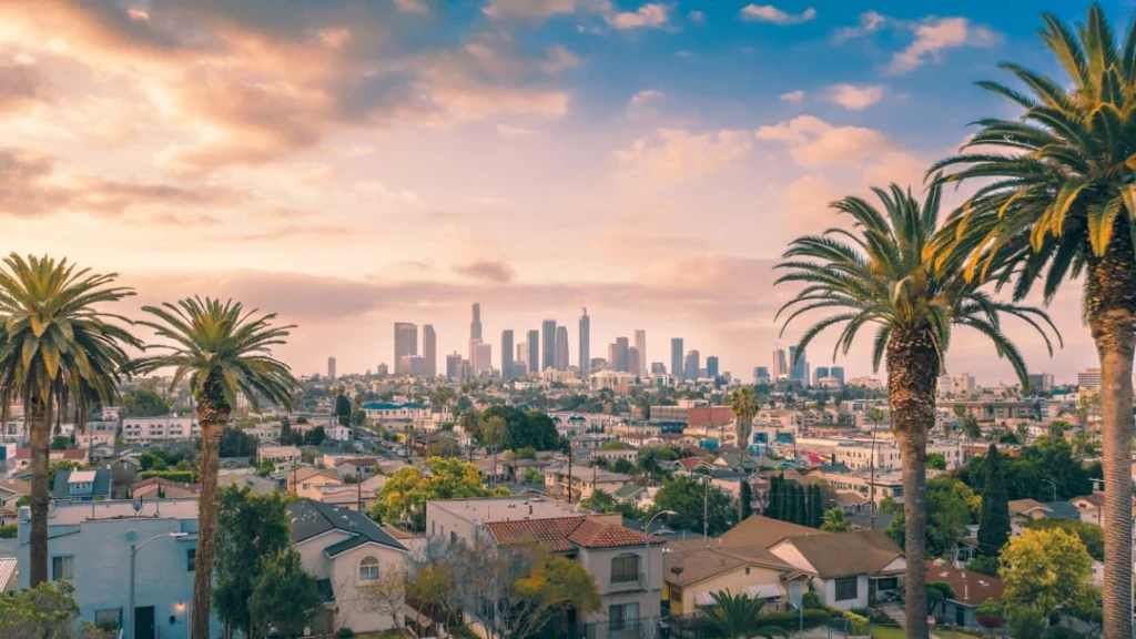 Uitzicht over Los Angeles met palmbomen op de voorgrond en de wolkenkrabbers van downtown in de gouden avondzon