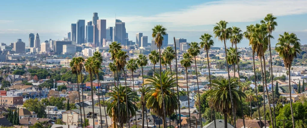 Wolkenkrabbers van de skyline van Los Angeles gezien tussen hoge palmbomen door, met woonwijken op de voorgrond
