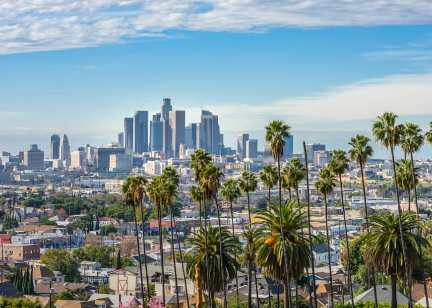 Wolkenkrabbers van downtown Los Angeles in de verte met rijen hoge palmbomen en woonwijken op de voorgrond
