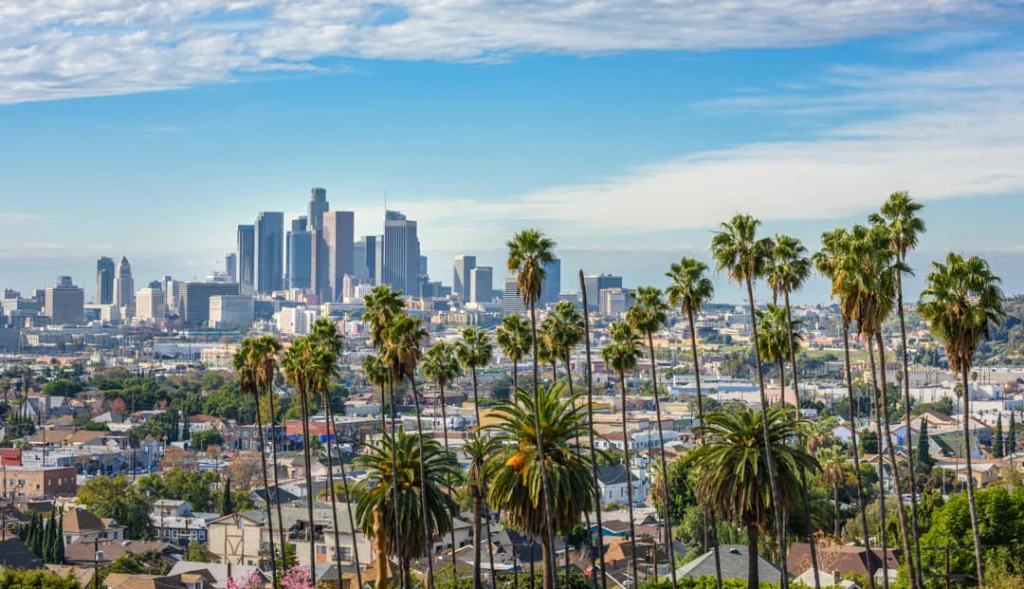 Wolkenkrabbers van downtown Los Angeles gezien tussen rijen hoge palmbomen, met woonhuizen op de voorgrond onder een blauwe lucht