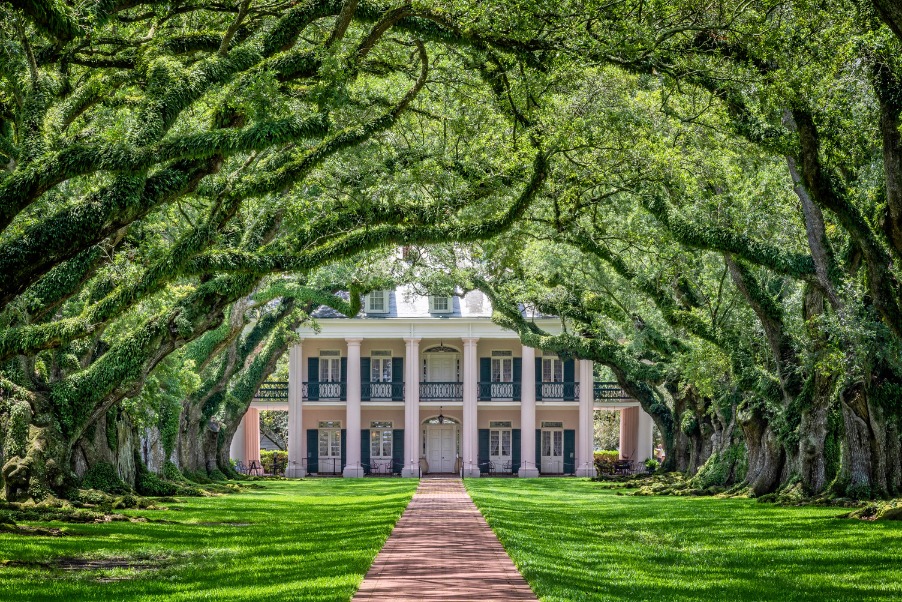 Statig plantagehuis in Louisiana aan het einde van een laan met overhangende, met mos bedekte eikenbomen