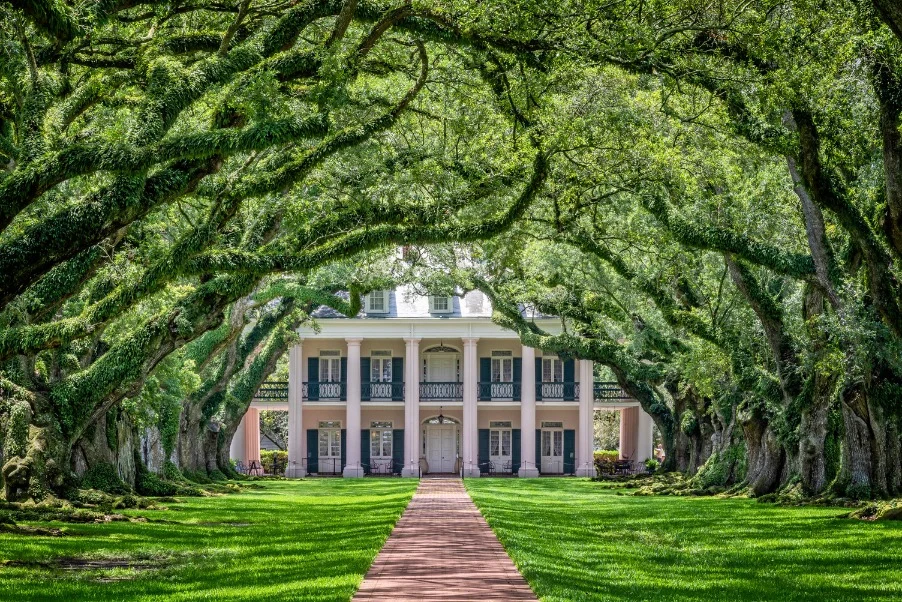 Laan van oude, overhangende eikenbomen leidt naar een wit plantagehuis met groene luiken in Louisiana