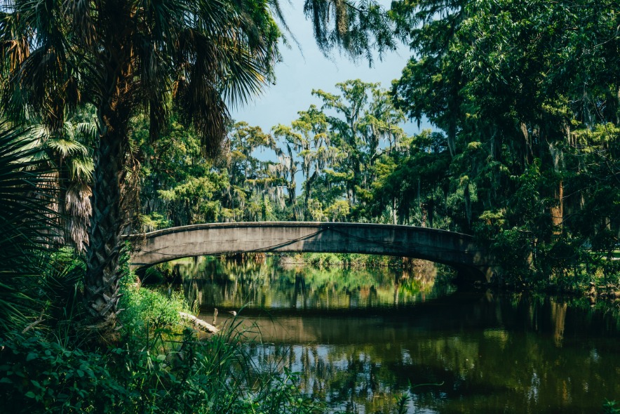 Gebogen stenen voetgangersbrug over een rustige vijver, omringd door palmbomen en cipressen met Spaans mos in een park