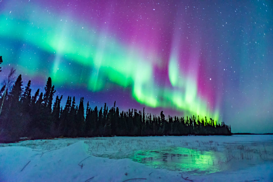 Groen en paars noorderlicht golft boven een donker sparrenbos met een besneeuwd meer op de voorgrond in Manitoba