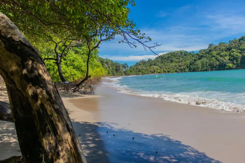 Rustig baaitje met turquoise water en een wit zandstrand omzoomd door groen regenwoud bij Manuel Antonio