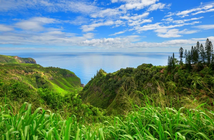 Weelderig groene heuvels en kliffen op Maui met uitzicht over de kalme blauwe oceaan onder een wolkenlucht