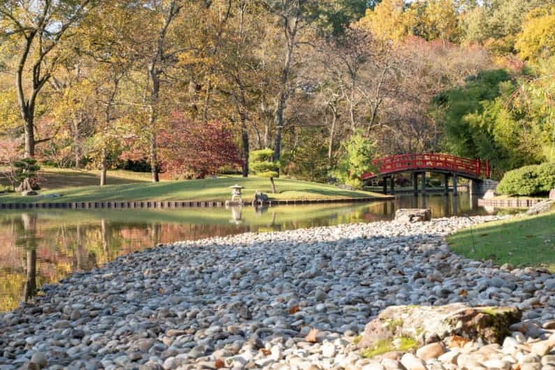 Een rode boogbrug over een vijver omringd door herfstbomen in de Japanse tuin van Memphis, met een kiezelstrand op de voorgrond