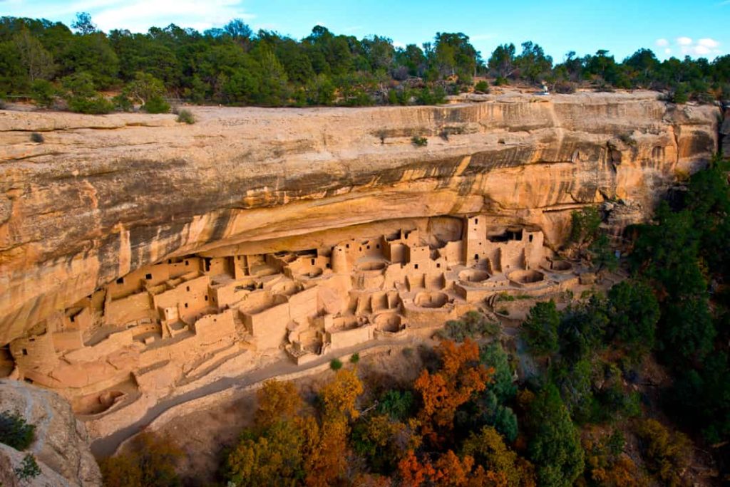 Ruime blik op de rotswoningen van Cliff Palace onder een overhangende klif omringd door bomen in Mesa Verde National Park in Colorado