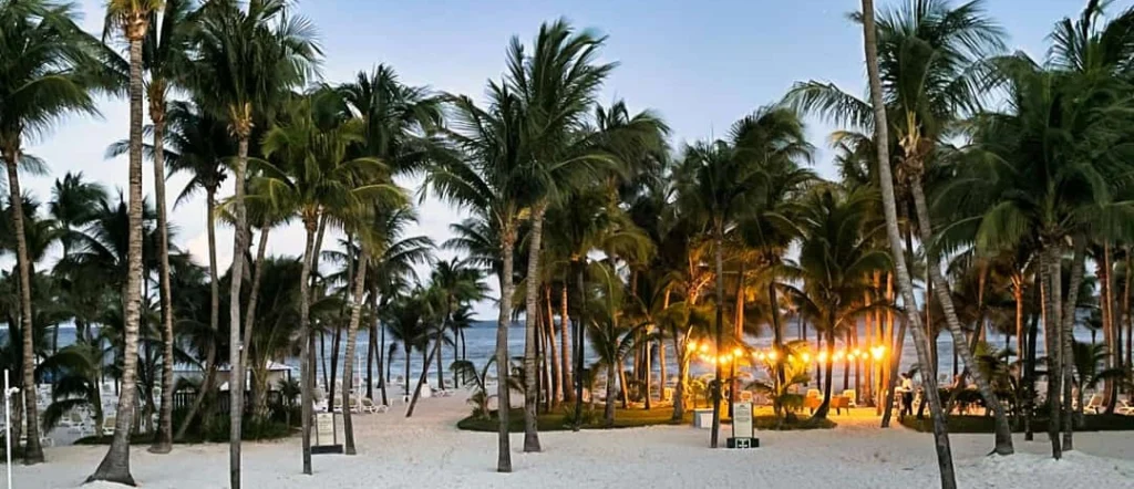 Hoge palmbomen op een wit zandstrand met verlichte lantaarns en een terras op de achtergrond bij schemering in Mexico