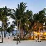 Hoge palmbomen op een wit zandstrand met verlichte lantaarns en een terras op de achtergrond bij schemering in Mexico