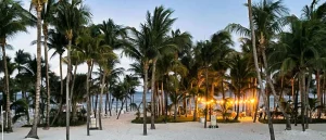 Hoge palmbomen op een wit zandstrand met verlichte lantaarns en een terras op de achtergrond bij schemering in Mexico