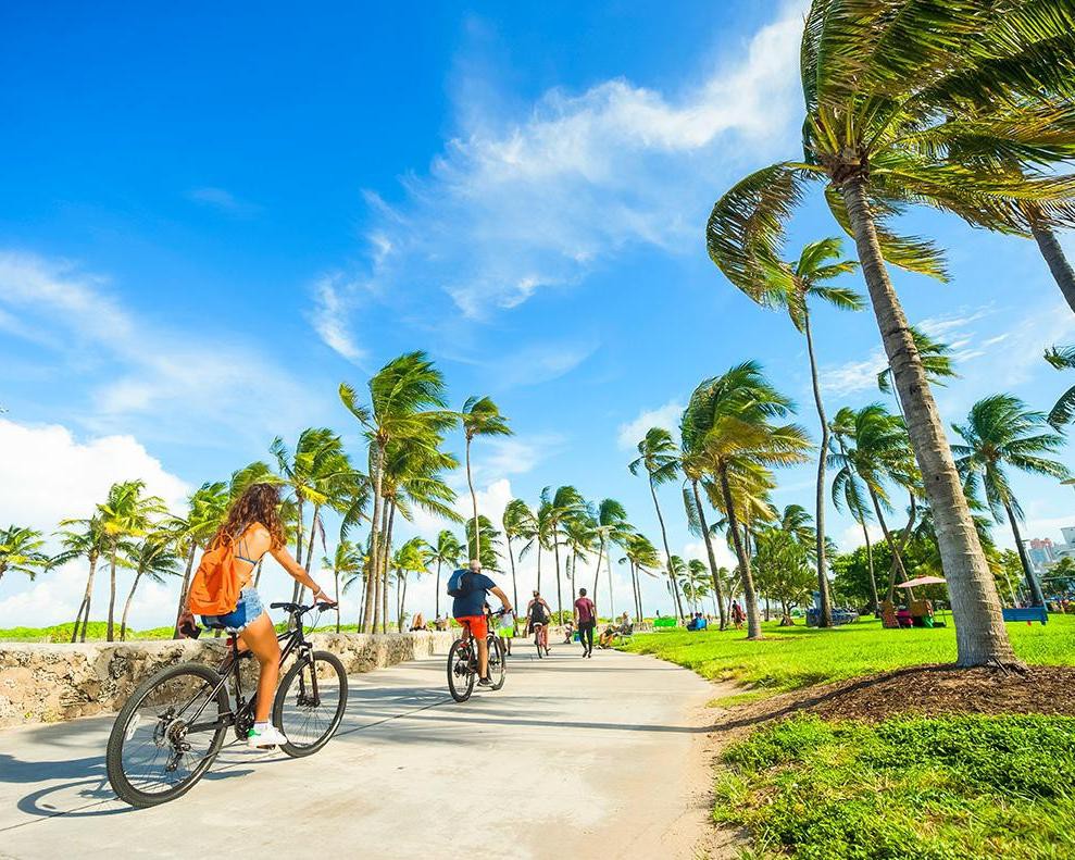 Vrouw fietst op een pad langs zee tussen hoog wuivende palmbomen, met andere fietsers en wandelaars verderop in Miami Beach