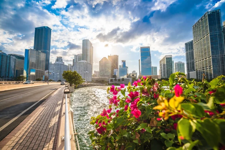 Uitzicht vanaf een brug in Miami op wolkenkrabbers langs de rivier met felroze bloemen op de voorgrond