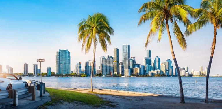 Uitzicht over de baai op de wolkenkrabbers van Miami, omlijst door hoge palmbomen op een zonnige dag