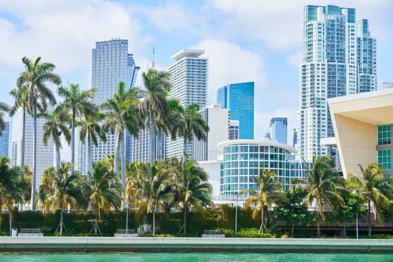 Wolkenkrabbers van Miami steken boven een rij hoge palmbomen uit langs de waterkant