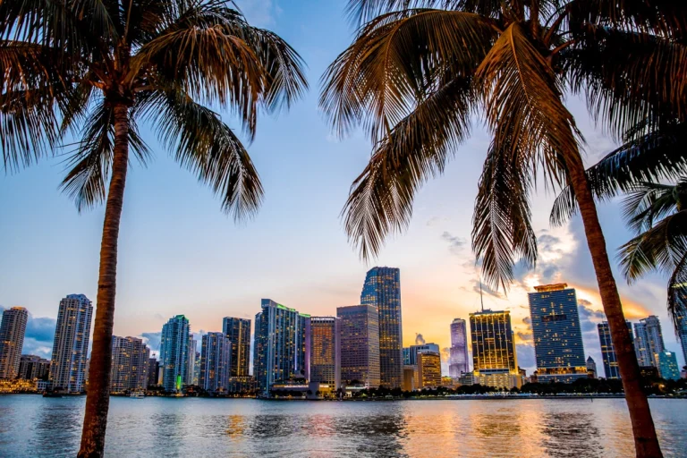 De skyline van Miami met wolkenkrabbers weerspiegeld in het water, omlijst door twee palmbomen bij zonsondergang