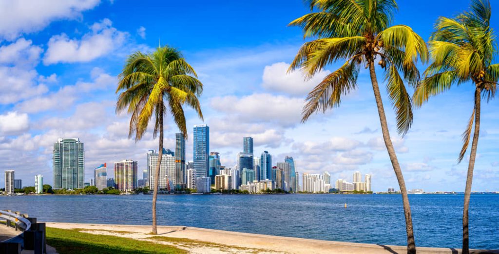 Wolkenkrabbers van downtown Miami aan het water van Biscayne Bay, gezien tussen twee hoge palmbomen door
