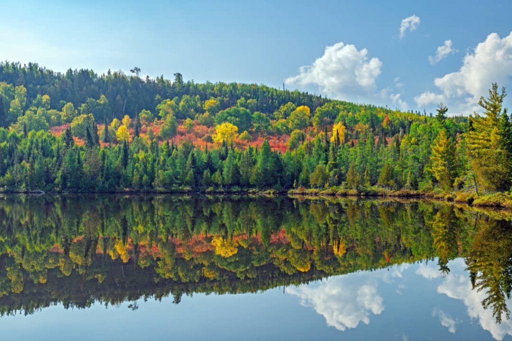 Spiegelglad meer weerspiegelt een heuvel bedekt met bos in felle herfstkleuren onder een blauwe lucht