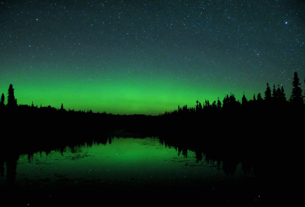 Groen noorderlicht aan de sterrenhemel boven een stil meer, met de silhouetten van dennenbomen langs de oever