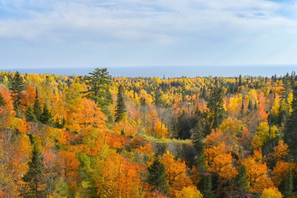 Weids uitzicht over een dal vol bomen in felle herfstkleuren, met Lake Superior zichtbaar aan de horizon