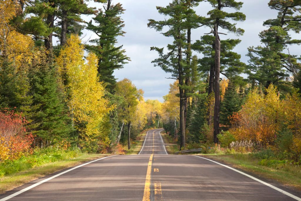 Rechte asfaltweg met dubbele gele middenlijn tussen hoge dennen en bomen in herfstkleuren aan de noordkust van Minnesota