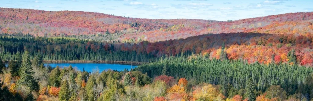 Panoramisch uitzicht over glooiende heuvels met bos in felle herfstkleuren rond een klein blauw meer in Minnesota