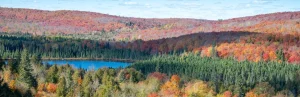 Panoramisch uitzicht over glooiende heuvels met bos in felle herfstkleuren rond een klein blauw meer in Minnesota