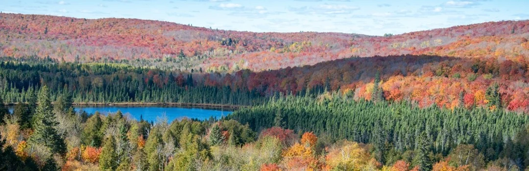 Panoramisch uitzicht over glooiende heuvels met bos in felle herfstkleuren rond een klein blauw meer in Minnesota
