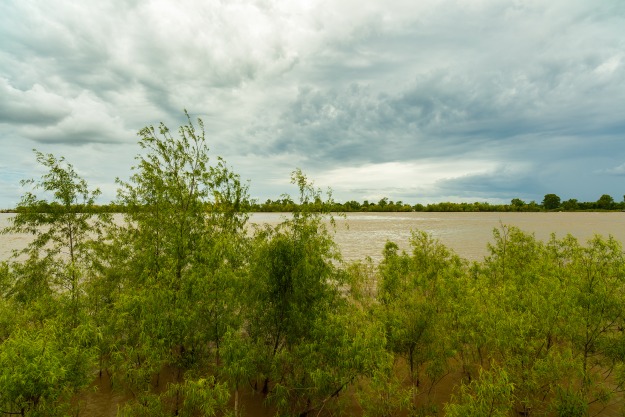 Groene struiken en bomen staan gedeeltelijk onder water aan de oever van de Mississippi rivier onder een bewolkte lucht