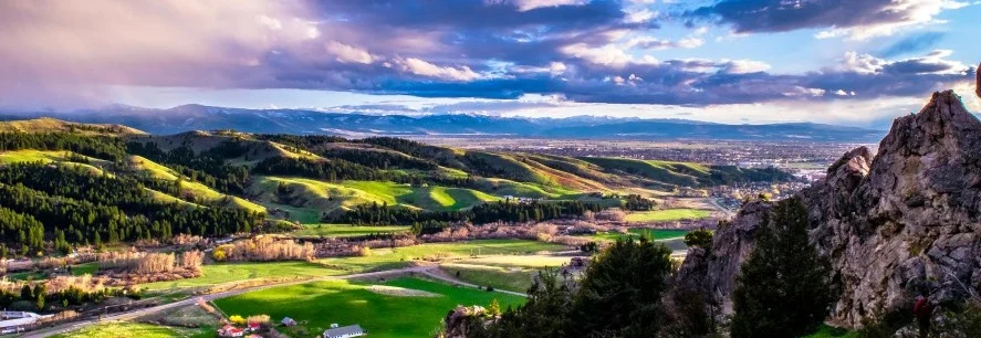 Panoramisch uitzicht over een glooiend groen dal met bossen en verre besneeuwde bergen onder een bewolkte hemel in Montana