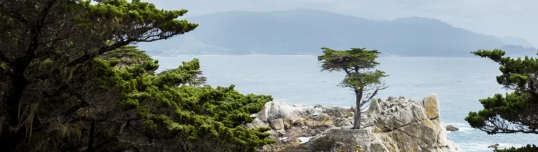 Geknotte cipres groeit op een rotsformatie boven het water met heuvels aan de horizon langs de kust bij Monterey