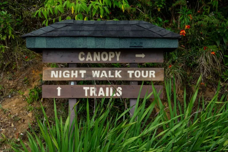 Een houten bord met een dakje wijst in het bos van Monteverde de weg naar de canopy, de nightwalk tour en de wandelpaden