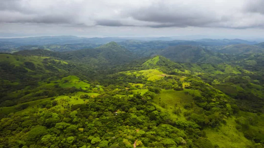 Luchtfoto van dicht beboste glooiende heuvels onder een bewolkte lucht in het wolkenwoud van Monteverde