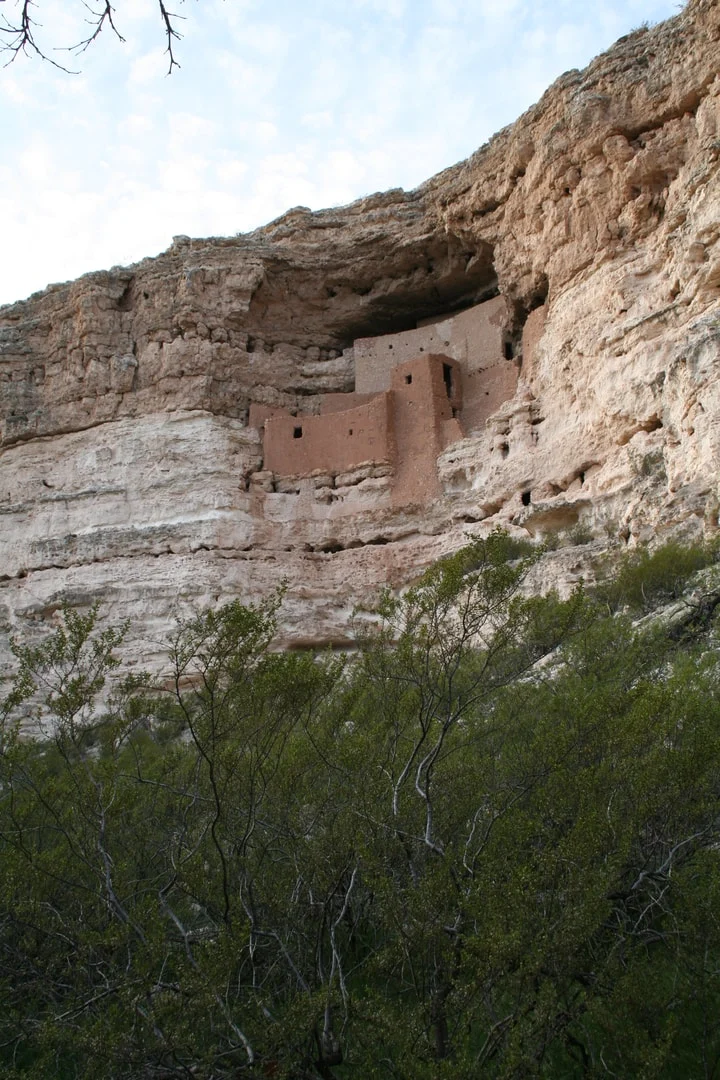 Oude uit klei en steen opgetrokken cliffdwelling van Montezuma Castle hoog in een lichte rotswand met bomen op de voorgrond