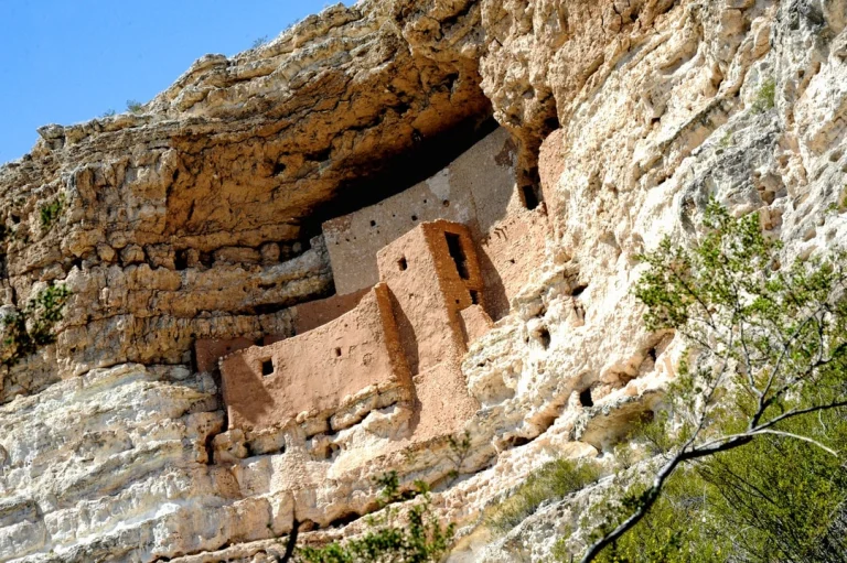Meerlaagse kleistructuur van Montezuma Castle hoog in een lichte kalkstenen rotswand onder een heldere blauwe lucht met een groene boom op de voorgrond